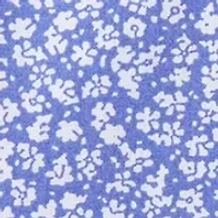 Big & Tall Floral Printed Button Down Shirt