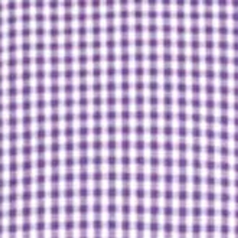 Big & Tall Gingham Stretch Collar Shirt