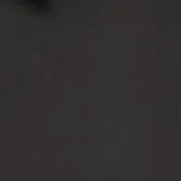 Big & Tall  Easy Care Stretch Collar Dress Shirt