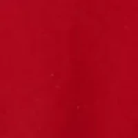 Big & Tall  Easy Care Stretch Collar Dress Shirt