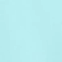 Men's Tall Solid Poplin Shirt