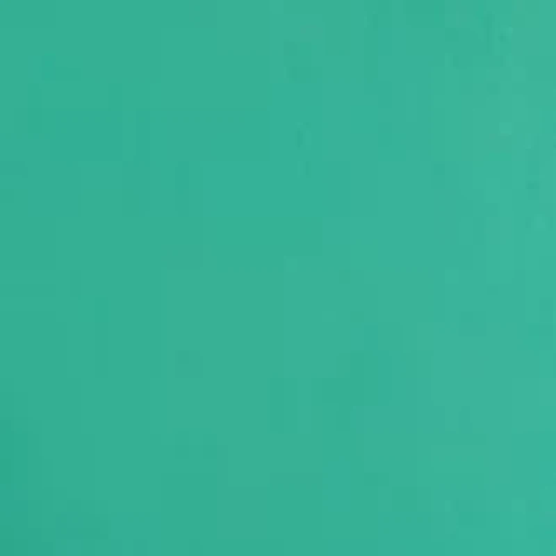 Big & Tall Solid Stretch Collar Shirt