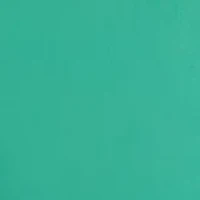 Big & Tall Solid Stretch Collar Shirt