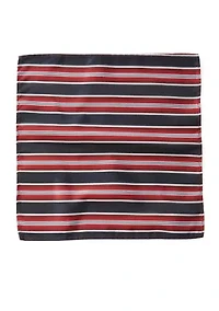 Big & Tall Stripe Necktie Set