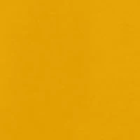 World History Graphic T-Shirt