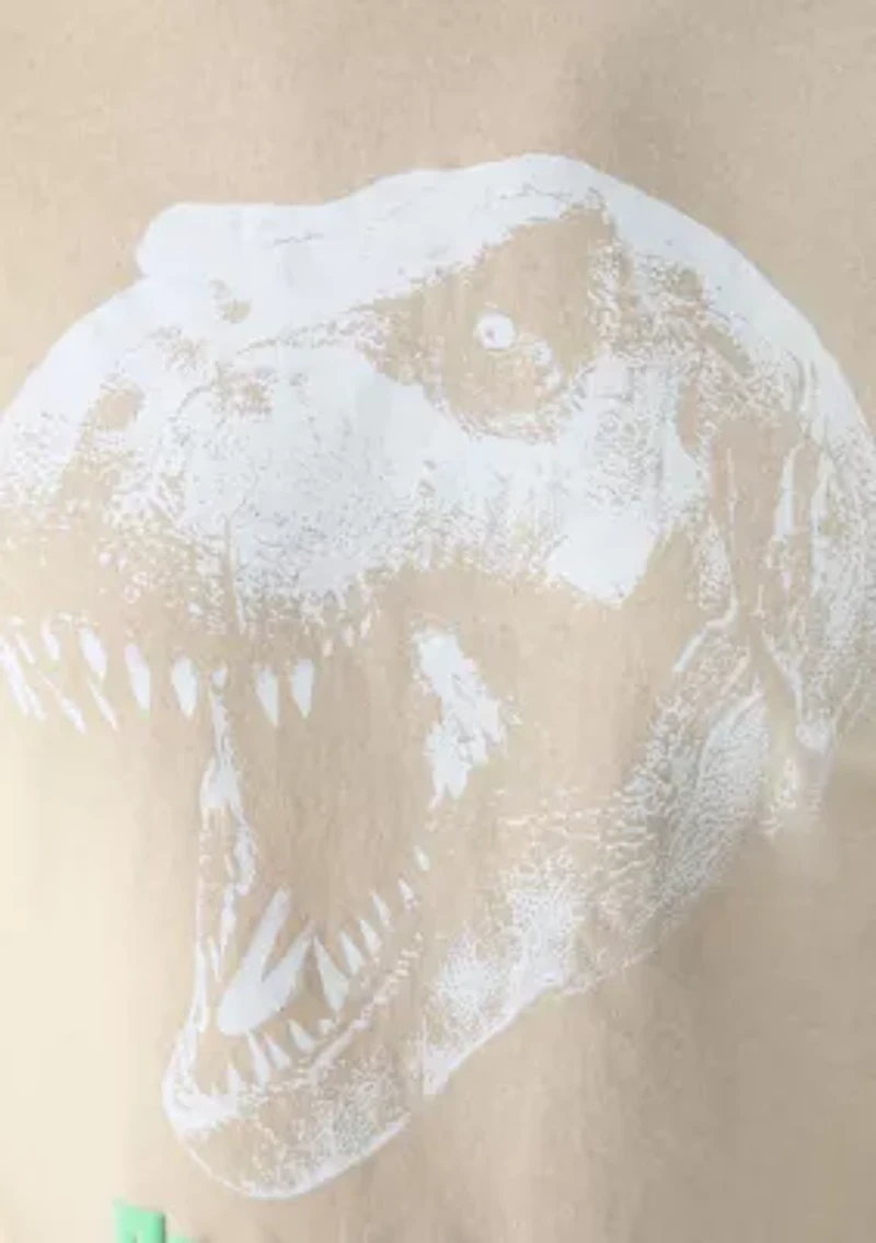 Men's T-Rex Graphic T-Shirt
