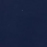 Big & Tall Permanently Tired Graphic T-Shirt