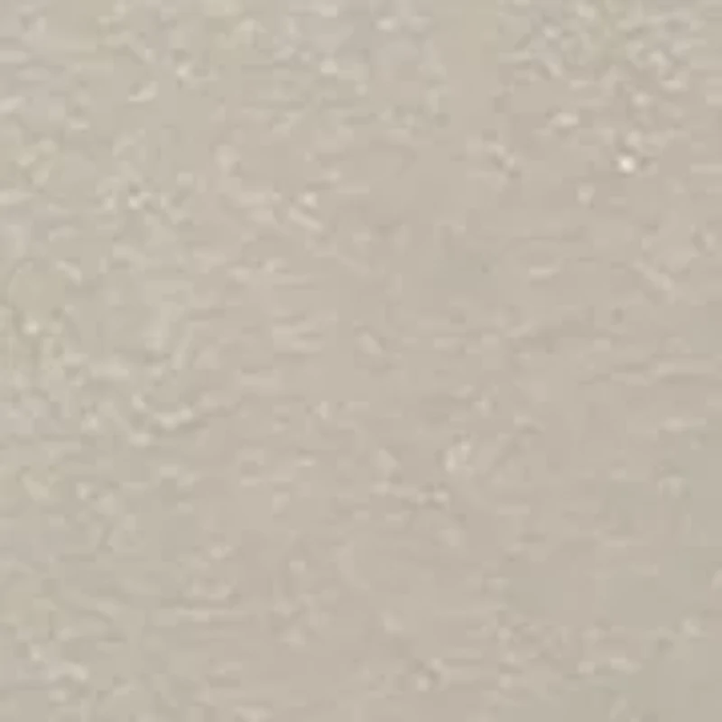 Snoopy Hike Graphic T-Shirt