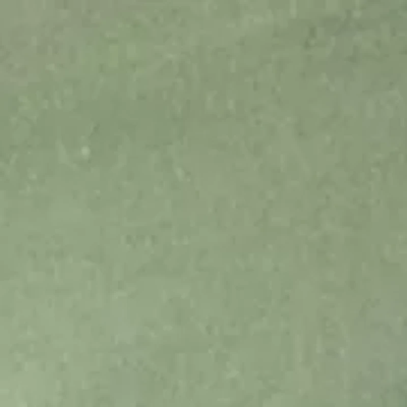 Spike the Hugger Short Sleeve Graphic T-Shirt