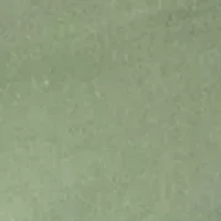 Spike the Hugger Short Sleeve Graphic T-Shirt