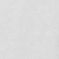 Americana Graphic T-Shirt