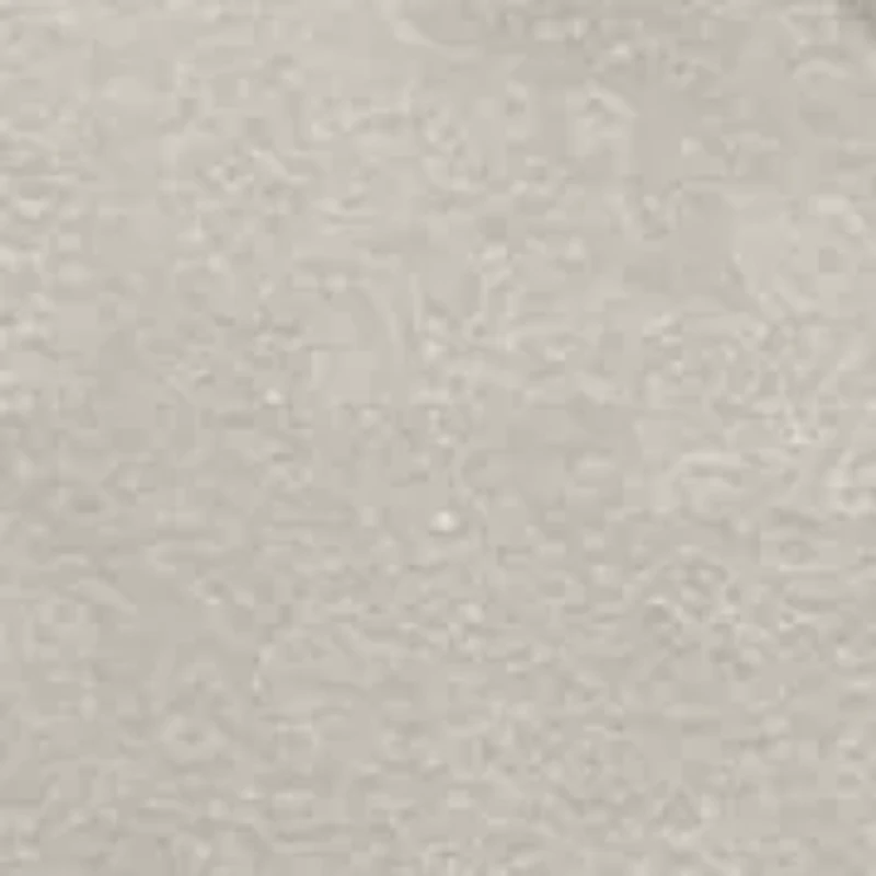 Griswold Tree Farm Graphic T-Shirt