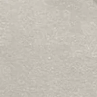 Griswold Tree Farm Graphic T-Shirt