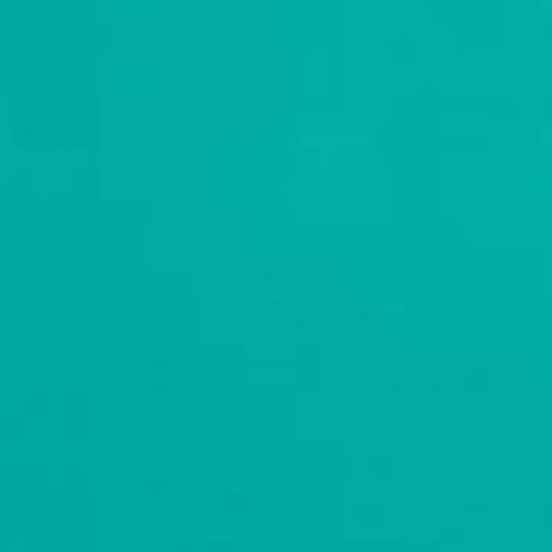 Southern Lifestyle Graphic T-Shirt