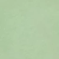 Short Sleeve Nolan Graphic T-Shirt