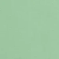 Short Sleeve PFG Graphic T-Shirt