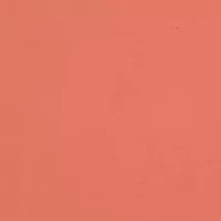 Short Sleeve Rhodes Graphic T-Shirt