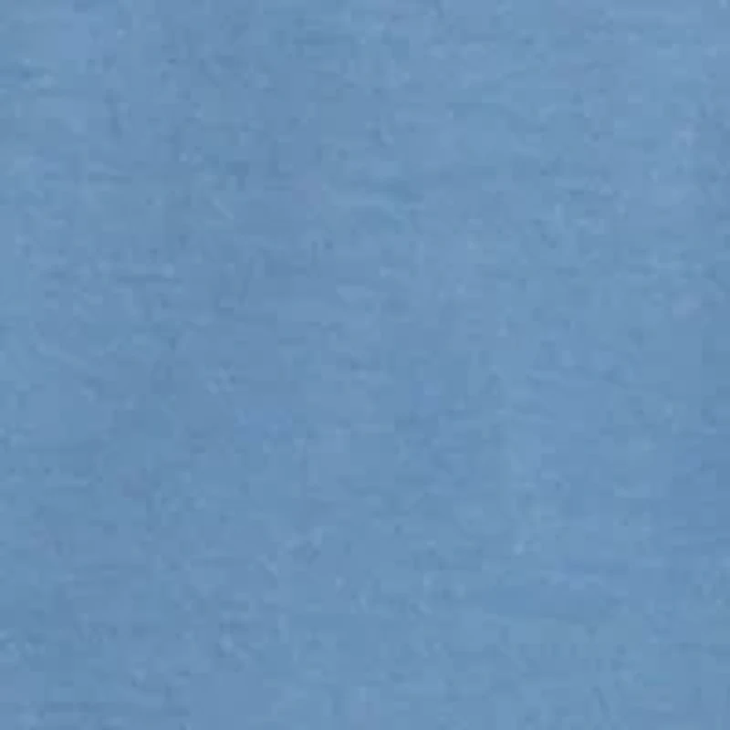 Big & Tall Short Sleeve Delmar Bear Canoe Graphic T-Shirt