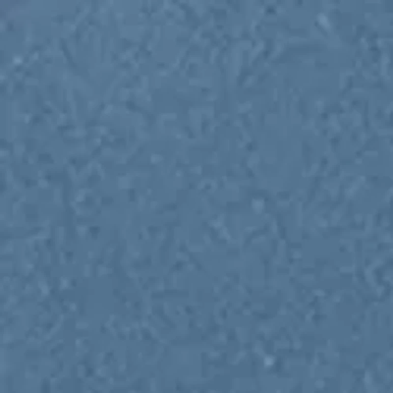 Rizen Short Sleeve Graphic T-Shirt