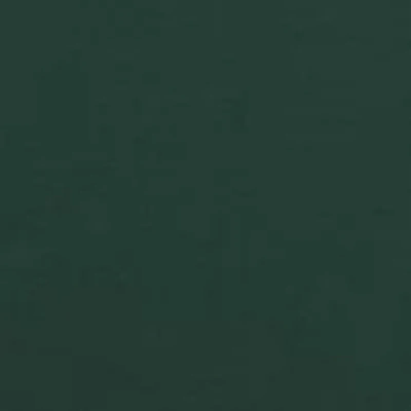 Short Sleeve Plaid Logo Graphic T-Shirt