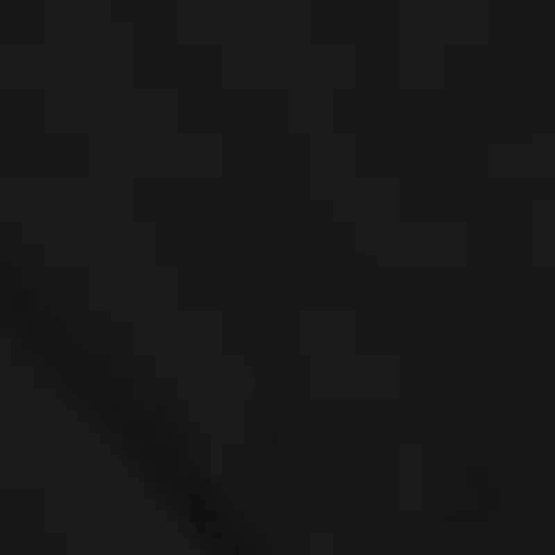 Siesta Fiesta Graphic  T-Shirt