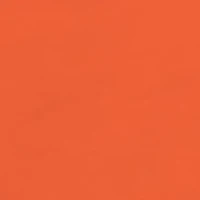 NCAA Clemson Tigers Graphic T-Shirt