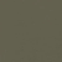 Men's Long Sleeve Camo Logo Graphic T-Shirt