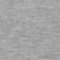 Men's Long Sleeve Backcountry Graphic T-Shirt