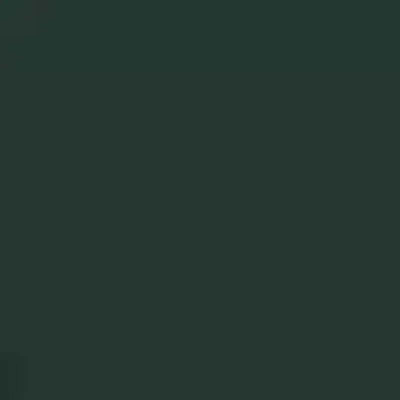 Long Sleeve Logo Graphic Hoodie