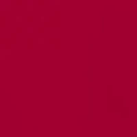 NCAA Arkansas Razorbacks World Famous Graphic T-Shirt