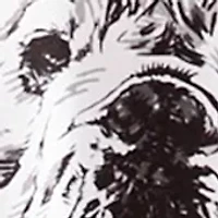 NCAA Georgia Bulldogs Mascot Sketch Graphic T-Shirt
