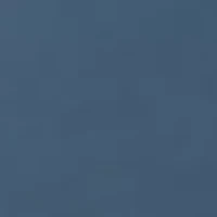 Men's Dog Graphic Hoodie