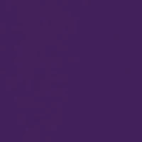 NCAA Auburn Tigers Fun Time Graphic T-Shirt