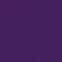 NCAA Clemson Tigers Full Proof Graphic T-Shirt