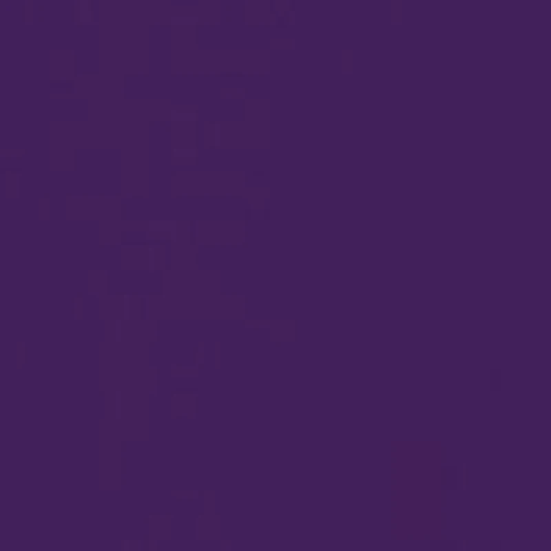 Big & Tall NCAA LSU Tigers Mascot Graphic T-Shirt