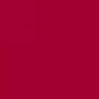 NCAA Arkansas Razorbacks Full Proof Graphic T-Shirt