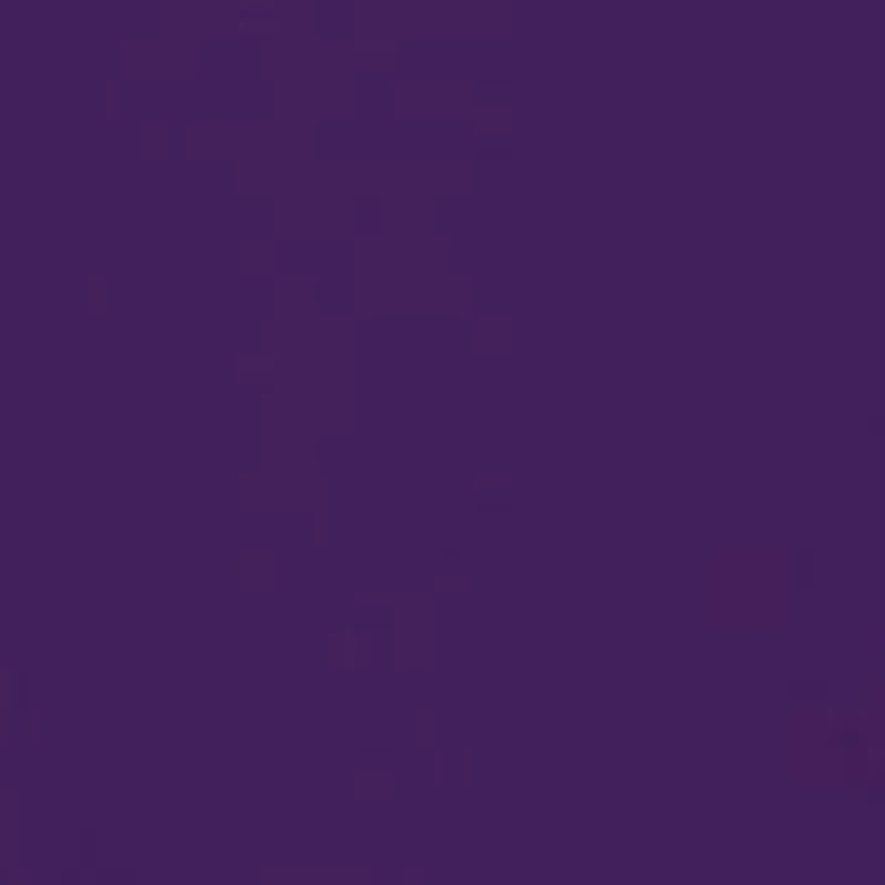 NCAA LSU Tigers Fun Time Graphic T-Shirt