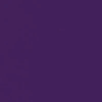 NCAA Clemson Tigers Sketch Mascot Graphic T-Shirt