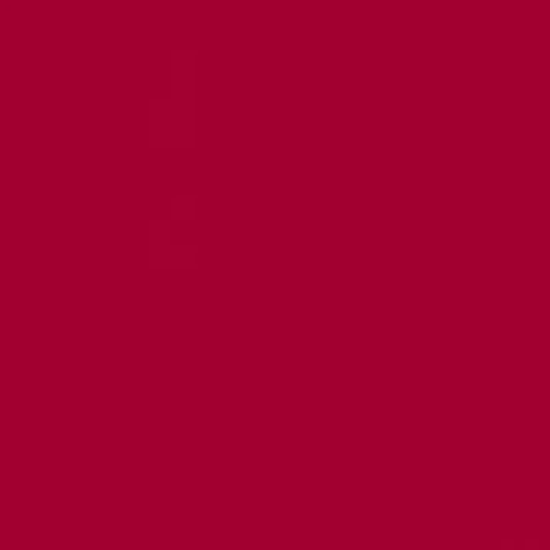 NCAA Arkansas Razorbacks Sketch Mascot Graphic T-Shirt