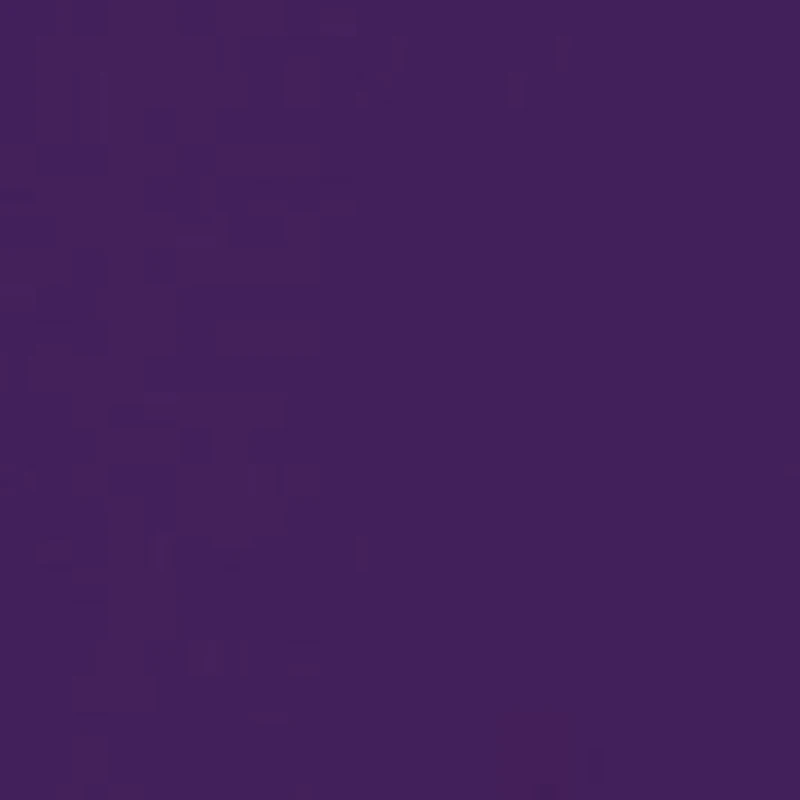 NCAA LSU Tigers 4 Boxes Graphic T-Shirt