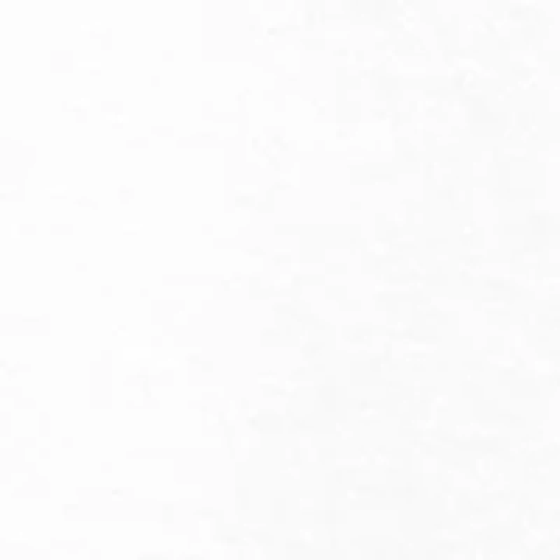 NCAA Arkansas Razorbacks Year Painting Graphic T-Shirt