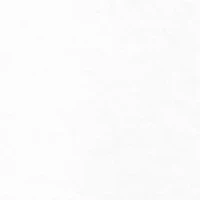 NCAA Arkansas Razorbacks Year Painting Graphic T-Shirt