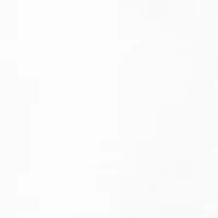 NCAA Clemson Tigers Year Painting Graphic T-Shirt