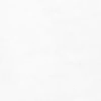 NCAA LSU Tigers Year Painting Graphic T-Shirt