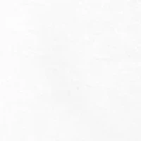 NCAA Mississippi State Bulldogs Year Painting Graphic T-Shirt