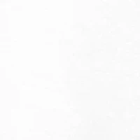 NCAA Tennessee Volunteers Year Painting Graphic T-Shirt