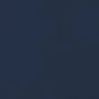 NCAA Auburn Tigers Old Building Graphic T-Shirt