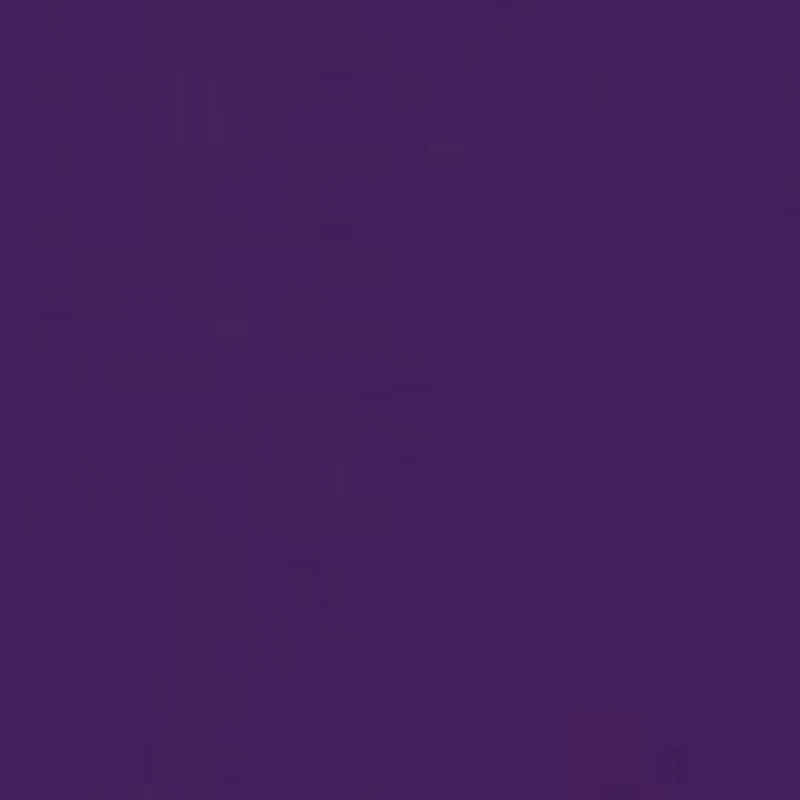 NCAA LSU Tigers Old Building Graphic T-Shirt