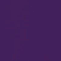 NCAA LSU Tigers Old Building Graphic T-Shirt