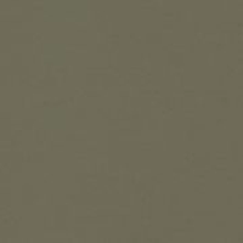 NCAA South Carolina Gamecocks Hunt Camo Short Sleeve T-Shirt